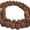 4 Faces Rudrakshya Mala from Nepal 54 Beads - Medium Size 