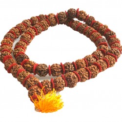 6 Faces Rudrakshya Mala with clothes from Nepal 54 Beads - Medium Size 