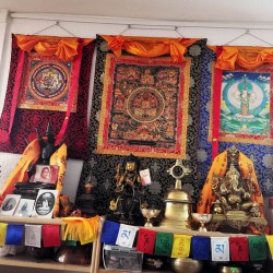 Buddha Life Thanka Painting - Lage size (56.5*46 cm, 22.24*18.11 inch)