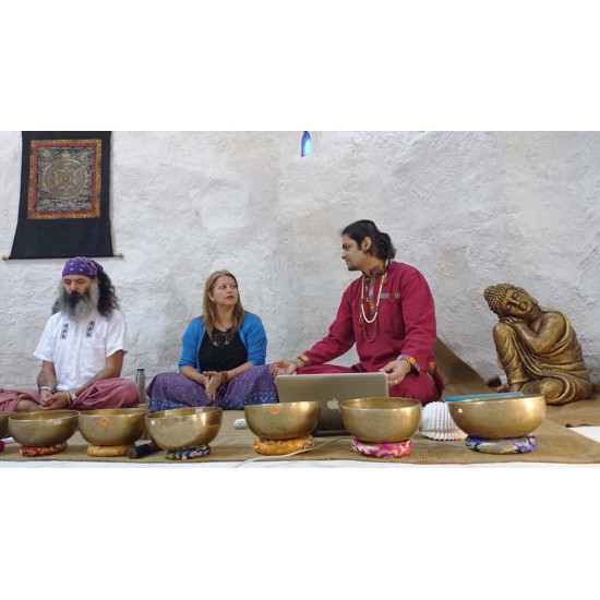 2nd Level Planetary, Therapeutic Singing bowl Healing course in Latvia, 28-29 June 2020