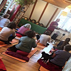 Basic Level and Second level Professional Planetary, Therapeutic Singing bowl sound Therapy Tainingon 19th -21st  September 2019 In Germany