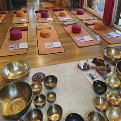 First level Professional Planetary, Therapeutic Singing bowl sound Therapy 13-14 July 2019 