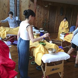 Third level Professional Planetary, Therapeutic Singing bowl course/workshop in Switzerland.