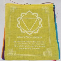 Seven Chakra Prayer Flags, Pure Cotton, Best quality Tibetan Prayer (1 packet have 7 individual flags) Flags - Medium size (21*24 cm, 8.2*9.4 inch) Seven Chakra Prayer Flags, Pure Cotton, Best quality Tibetan Prayer (1 packet have 7 individual flags) Flags - Medium size (21*24 cm, 8.2*9.4 inch)