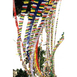 Tibetan, Polister, Cheapest, Horizontal, Prayer Flags (1 packet have 5 rolls and 1 roll have 10 individual flags) - Medium size (12*12 cm, 4.7*4.7 inch)
