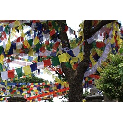 Tibetan, Polister, Cheapest, Horizontal, Prayer Flags (1 packet have 5 rolls and 1 roll have 10 individual flags) - Small size (9*9 cm, 3.5*3.5 inch)