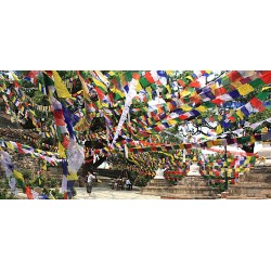 Tibetan, Polister, Cheapest, Horizontal, Prayer Flags (1 packet have 5 rolls and 1 roll have 10 individual flags) - Large size (17*17 cm, 6.6*6.6 inch)