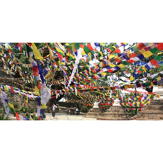 Tibetan, Polister, Cheapest, Horizontal, Prayer Flags (1 packet have 5 rolls and 1 roll have 10 individual flags) - Large size (17*17 cm, 6.6*6.6 inch)