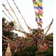 Tibetan, Polister, Cheapest, Horizontal, Prayer Flags (1 packet have 5 rolls and 1 roll have 25 individual flags) - Extra Large size (20*30 cm, 7.8*11.81 inch)