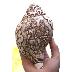 Conch Shell, powerful ancient healing (therapeutic) instrument, Hand work, Carving Conch Shell, Shiva Family, Cream Color - Large Size (20.5*32.5cm, 8.07*12.79 inch)