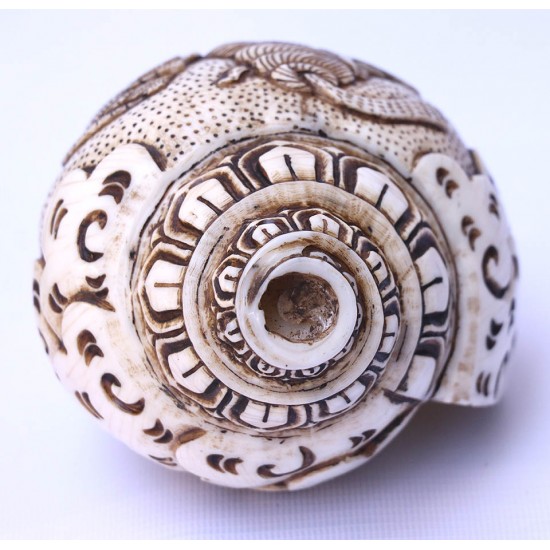 Conch Shell, powerful ancient healing (therapeutic) instrument, Hand work, Carving Conch Shell, Shiva Parvati, Cream Color - Large Size (22*34.5 cm, 8.66*13.58 inch)