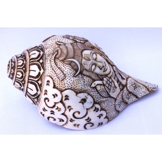 Conch Shell, powerful ancient healing (therapeutic) instrument, Hand work, Carving Conch Shell, Shiva Parvati, Cream Color - Large Size (22*34.5 cm, 8.66*13.58 inch)
