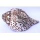 Conch Shell, powerful ancient healing (therapeutic) instrument, Hand work, Carving Conch Shell, Shiva Parvati, Cream Color - Large Size (22*34.5 cm, 8.66*13.58 inch)
