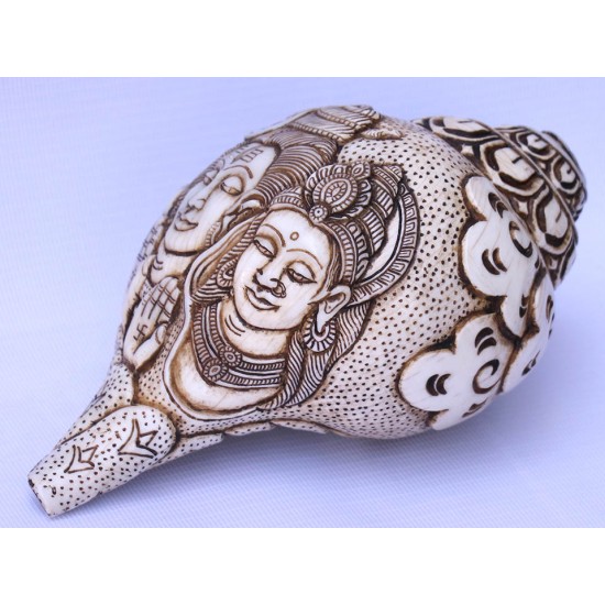 Conch Shell, powerful ancient healing (therapeutic) instrument, Hand work, Carving Conch Shell, Shiva Parvati, Cream Color - Large Size (22*34.5 cm, 8.66*13.58 inch)