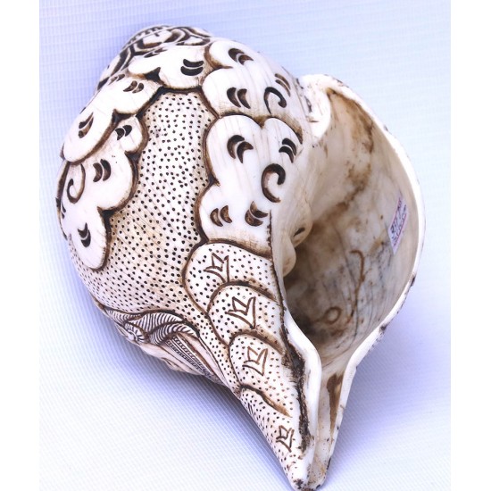Conch Shell, powerful ancient healing (therapeutic) instrument, Hand work, Carving Conch Shell, Shiva Parvati, Cream Color - Large Size (22*34.5 cm, 8.66*13.58 inch)