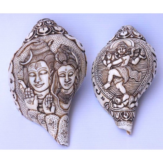 Conch Shell, powerful ancient healing (therapeutic) instrument, Hand work, Carving Conch Shell, Shiva Parvati, Cream Color - Large Size (22*34.5 cm, 8.66*13.58 inch)