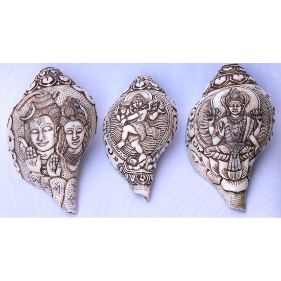 Conch Shell, powerful ancient healing (therapeutic) instrument, Hand work, Carving Conch Shell, Shiva Parvati, Cream Color - Large Size (22*34.5 cm, 8.66*13.58 inch)