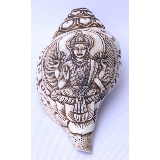 Conch Shell, powerful ancient healing (therapeutic) instrument, Hand work, Carving Conch Shell, Laxmi , Cream Color - Large Size (21.8*33.5 cm, 8.58*13.18 inch)