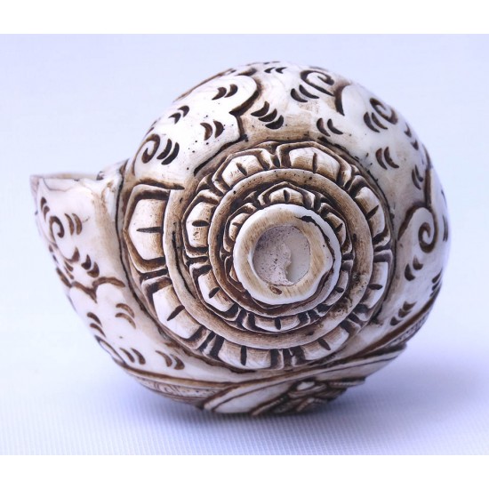 Conch Shell, powerful ancient healing (therapeutic) instrument, Hand work, Carving Conch Shell, Laxmi , Cream Color - Large Size (21.8*33.5 cm, 8.58*13.18 inch)