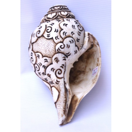Conch Shell, powerful ancient healing (therapeutic) instrument, Hand work, Carving Conch Shell, Laxmi , Cream Color - Large Size (21.8*33.5 cm, 8.58*13.18 inch)