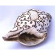 Conch Shell, powerful ancient healing (therapeutic) instrument, Hand work, Carving Conch Shell, Laxmi , Cream Color - Large Size (21.8*33.5 cm, 8.58*13.18 inch)