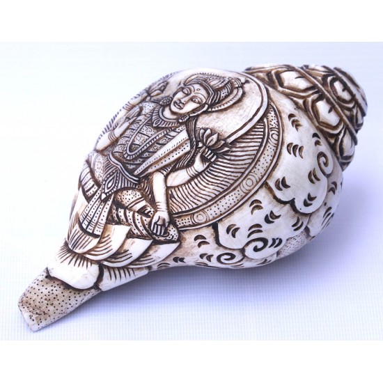 Conch Shell, powerful ancient healing (therapeutic) instrument, Hand work, Carving Conch Shell, Laxmi , Cream Color - Large Size (21.8*33.5 cm, 8.58*13.18 inch)