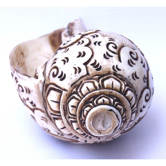 Conch Shell, powerful ancient healing (therapeutic) instrument, Hand work, Carving Conch Shell, Laxmi , Cream Color - Large Size (21.8*33.5 cm, 8.58*13.18 inch)