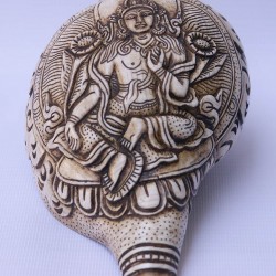 Conch Shell, powerful ancient healing (therapeutic) instrument, Hand work, Carving Conch Shell, Green Tara , Cream Color - Large Size (21.8*33.5 cm, 8.58*13.18 inch)