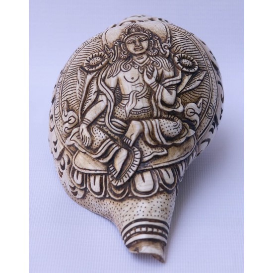 Conch Shell, powerful ancient healing (therapeutic) instrument, Hand work, Carving Conch Shell, Green Tara , Cream Color - Large Size (21.8*33.5 cm, 8.58*13.18 inch)
