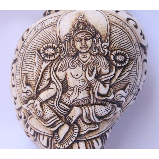 Conch Shell, powerful ancient healing (therapeutic) instrument, Hand work, Carving Conch Shell, Green Tara , Cream Color - Large Size (21.8*33.5 cm, 8.58*13.18 inch)