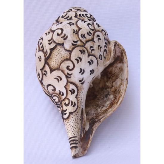 Conch Shell, powerful ancient healing (therapeutic) instrument, Hand work, Carving Conch Shell, Green Tara , Cream Color - Large Size (21.8*33.5 cm, 8.58*13.18 inch)