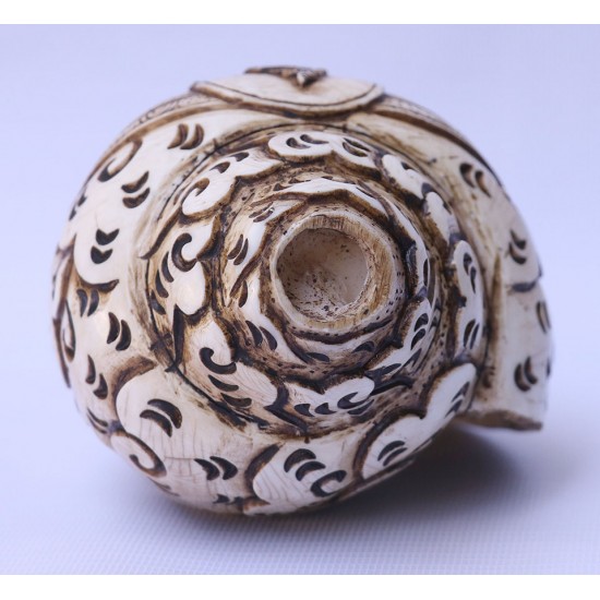 Conch Shell, powerful ancient healing (therapeutic) instrument, Hand work, Carving Conch Shell, Green Tara , Cream Color - Large Size (21.8*33.5 cm, 8.58*13.18 inch)