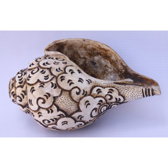 Conch Shell, powerful ancient healing (therapeutic) instrument, Hand work, Carving Conch Shell, Green Tara , Cream Color - Large Size (21.8*33.5 cm, 8.58*13.18 inch)
