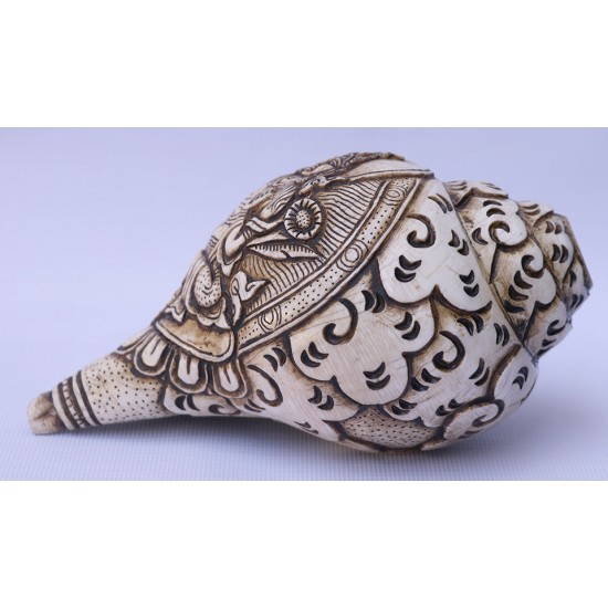 Conch Shell, powerful ancient healing (therapeutic) instrument, Hand work, Carving Conch Shell, Green Tara , Cream Color - Large Size (21.8*33.5 cm, 8.58*13.18 inch)