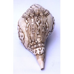 Conch Shell, powerful ancient healing (therapeutic) instrument, Hand work, Carving Conch Shell, Bishnu and Laxmi , Cream Color - Large Size (24.6*33.5 cm, 8.58*13.18 inch)