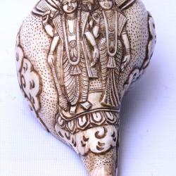 Conch Shell, powerful ancient healing (therapeutic) instrument, Hand work, Carving Conch Shell, Bishnu and Laxmi , Cream Color - Large Size (24.6*33.5 cm, 8.58*13.18 inch)