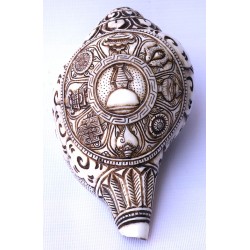 Conch Shell, powerful ancient healing (therapeutic) instrument, Hand work, Eight Auspicious and Stupa Carved, Cream Color Carving Conch Shell - Large Size (23.5*36 cm, 9.25*14.17 inch)