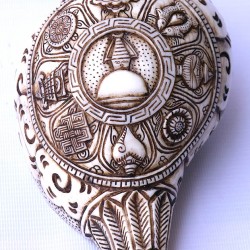 Conch Shell, powerful ancient healing (therapeutic) instrument, Hand work, Eight Auspicious and Stupa Carved, Cream Color Carving Conch Shell - Large Size (23.5*36 cm, 9.25*14.17 inch)