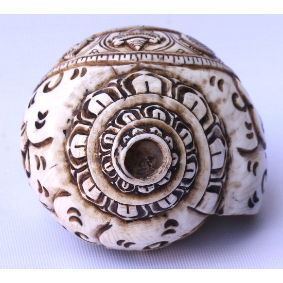 Conch Shell, powerful ancient healing (therapeutic) instrument, Hand work, Eight Auspicious and Stupa Carved, Cream Color Carving Conch Shell - Large Size (23.5*36 cm, 9.25*14.17 inch)