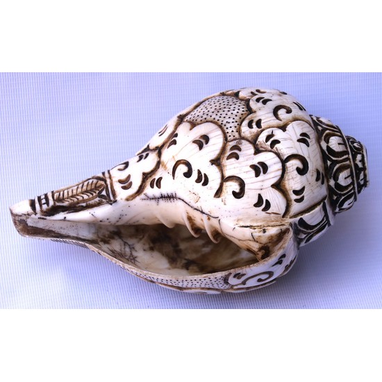 Conch Shell, powerful ancient healing (therapeutic) instrument, Hand work, Eight Auspicious and Stupa Carved, Cream Color Carving Conch Shell - Large Size (23.5*36 cm, 9.25*14.17 inch)