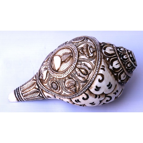 Conch Shell, powerful ancient healing (therapeutic) instrument, Hand work, Eight Auspicious and Stupa Carved, Cream Color Carving Conch Shell - Large Size (23.5*36 cm, 9.25*14.17 inch)
