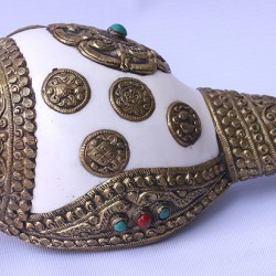 Brass Metal Conch Shell, powerful ancient healing (therapeutic) instrument, Hand work, White and Yellow Color -Extra Large Size (38*42.5 cm, 10.62*11.41 inch)