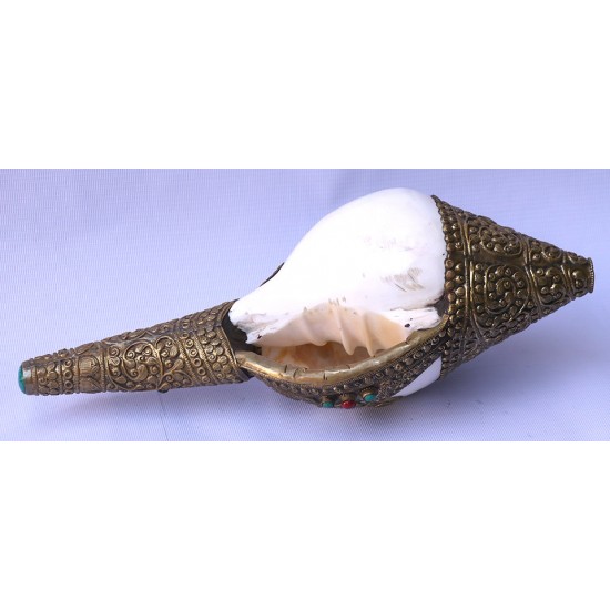 Brass Metal Conch Shell, powerful ancient healing (therapeutic) instrument, Hand work, White and Yellow Color -Extra Large Size (38*42.5 cm, 10.62*11.41 inch)