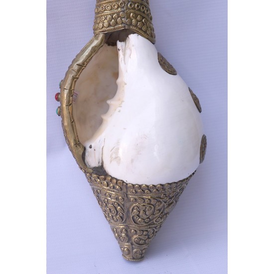 Brass Metal Conch Shell, powerful ancient healing (therapeutic) instrument, Hand work, White and Yellow Color -Extra Large Size (38*42.5 cm, 10.62*11.41 inch)