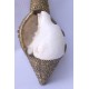 Brass Metal Conch Shell, powerful ancient healing (therapeutic) instrument, Hand work, White and Yellow Color -Extra Large Size (38*42.5 cm, 10.62*11.41 inch)