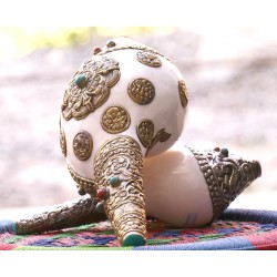 Brass Metal Conch Shell, powerful ancient healing (therapeutic) instrument, Hand work, White and Yellow Color -Extra Large Size (38.5*42 cm, 15.15*16.53 inch)