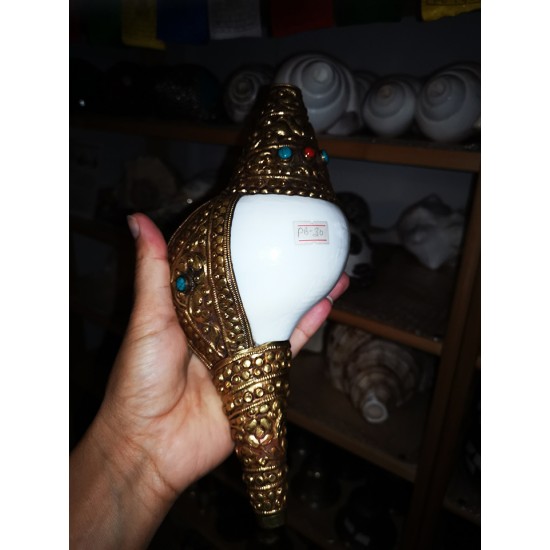 Metal Conch Shell(SHANKHA), powerful ancient healing (therapeutic) instrument, Hand work, Beautiful Design, Yellow Metal Color - Small Size (26*31*8.5 cm, 2.3*12.02*3.3  inch)
