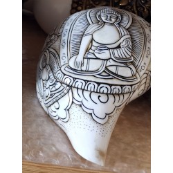 Pancha Buddha Carving Conch Shell(SANKHA), powerful ancient healing (therapeutic) instrument, Hand work, White Color - Medium Size (19.5*30 cm, 7.6*11.8 inch)