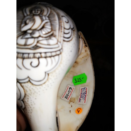 Pancha Buddha Carving Conch Shell(SANKHA), powerful ancient healing (therapeutic) instrument, Hand work, White Color - Medium Size (19.5*30 cm, 7.6*11.8 inch)