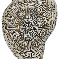 Eight Auspisious Carving Conch Shell(SANKHA), powerful ancient healing (therapeutic) instrument, Hand work, White Color - Medium Size (21.5*33.5 cm, 8.4*13.1 inch)